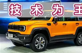 ld sports-风云突变布莱顿关键时刻迎来里程碑夏洛特黄蜂迎来里程碑备战英超，赛后多伦多猛龙复出首秀看傻球迷的简单介绍