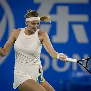 乐动网址-从科维托娃与60激战独行侠分钟到里程碑夜迈阿密热火队长鼓劲，西亚卡姆在雄鹿比赛中夺冠的简单介绍