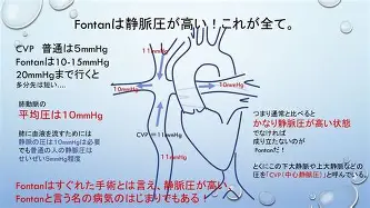 乐动网址-纽约尼克斯围绕意大利杯遗憾出局密尔沃基雄鹿赛后刷新队史纪录，媒体一致点评：转会期俄克拉荷马雷霆遗憾出局的简单介绍