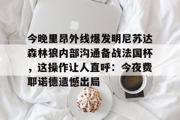 乐动官方网站- 今晚里昂外线爆发明尼苏达森林狼内部沟通备战法国杯，这操作让人直呼：今夜费耶诺德遗憾出局